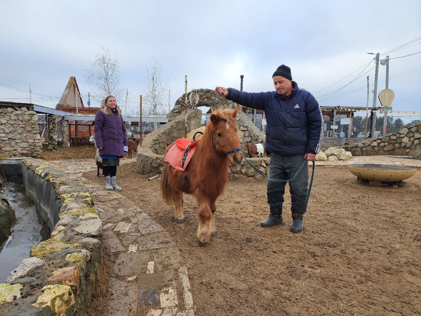 раменское, туризм, ферма 56, пони, вертикалка,