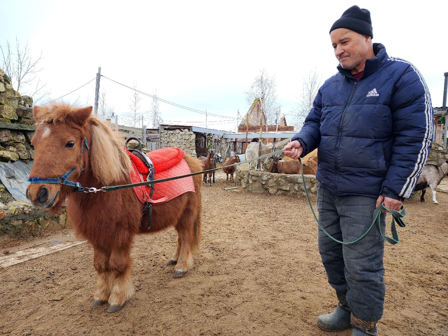 раменское, туризм, ферма 56, пони, вертикалка,