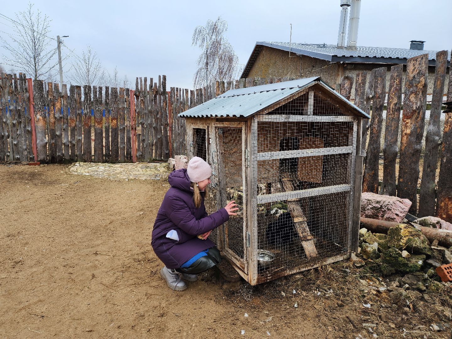 раменское, туризм, ферма 56, агрозоопарк, животные,