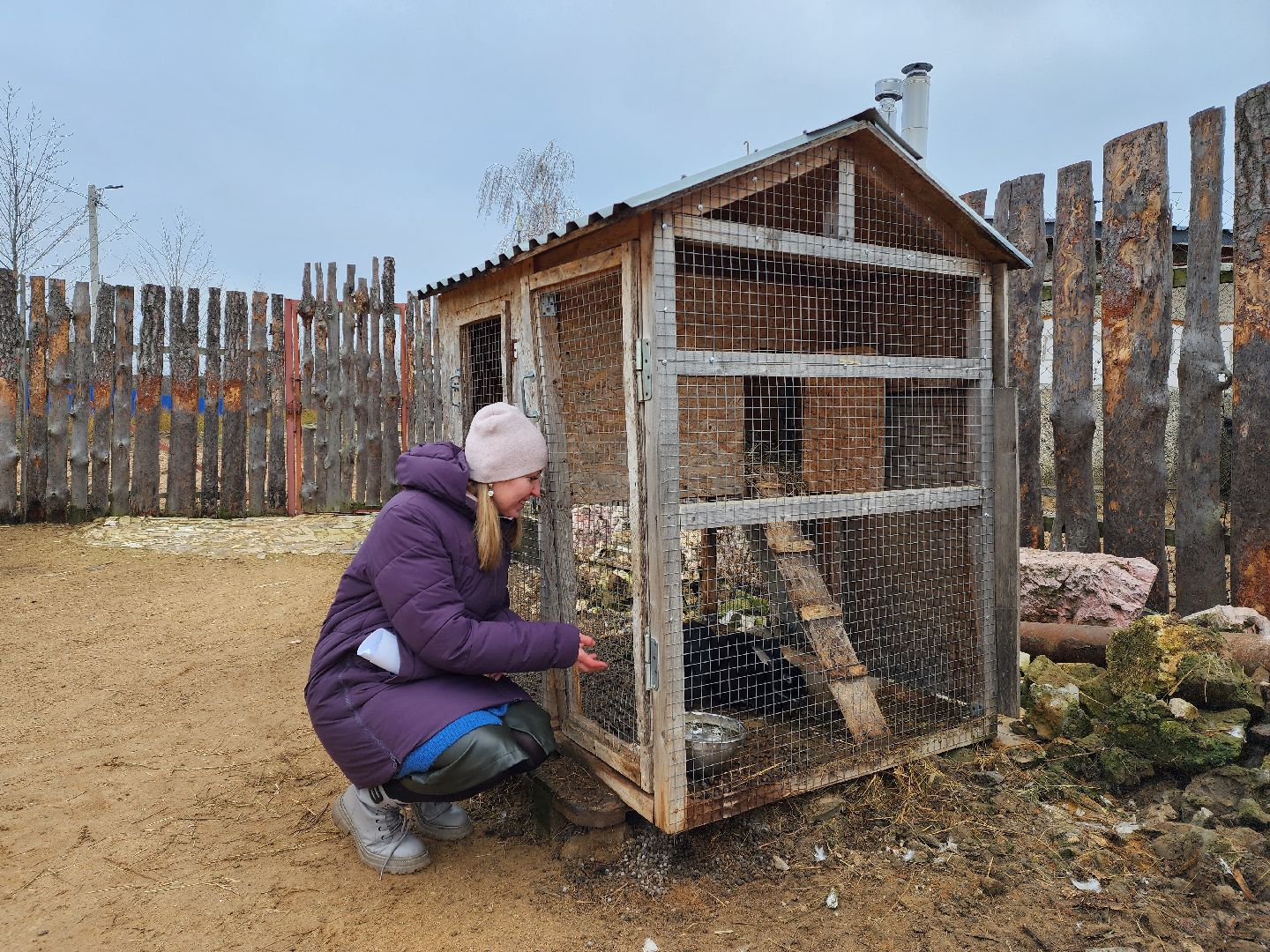 раменское, туризм, ферма 56, агрозоопарк, животные,