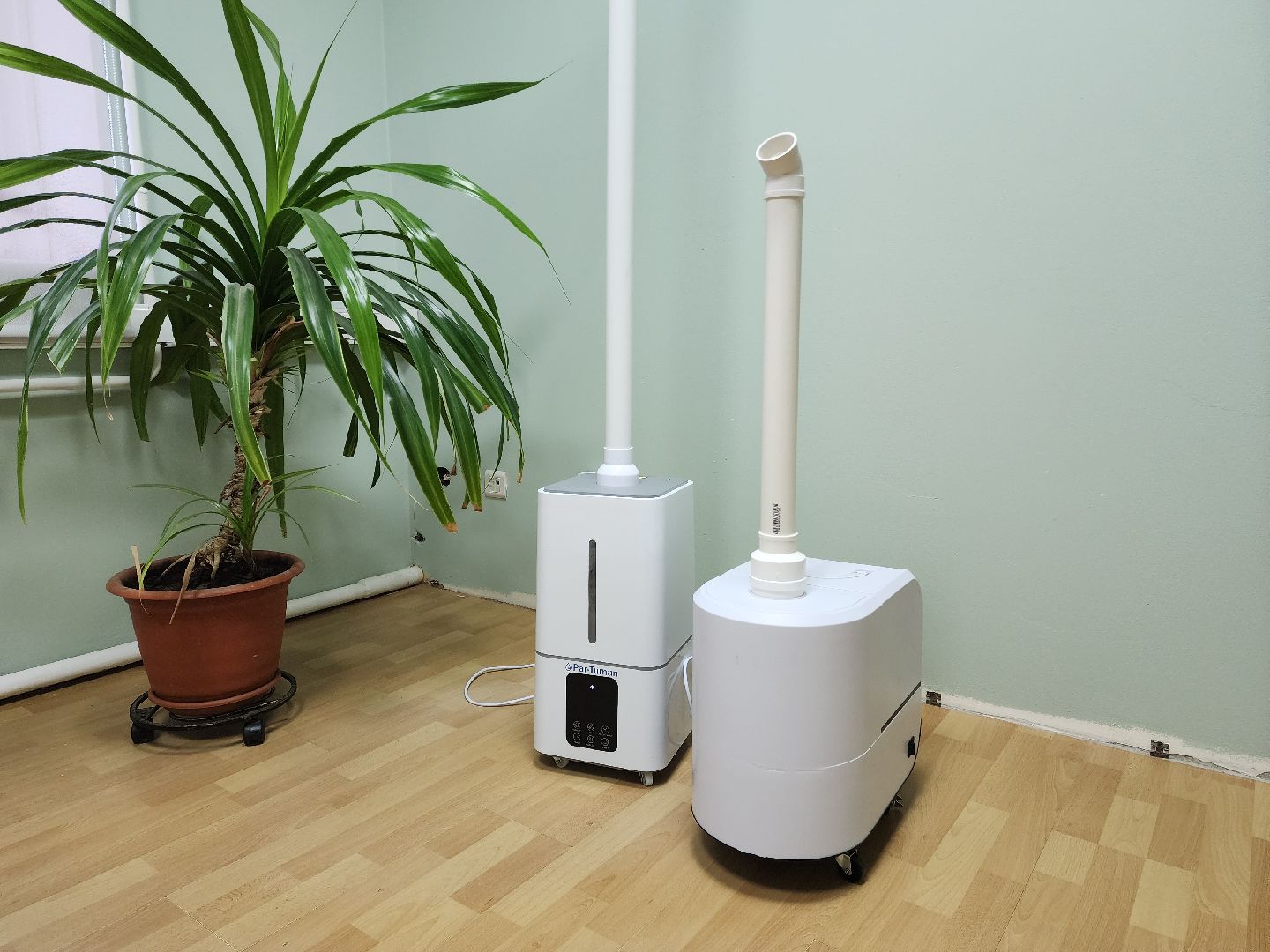 раменское, экономика, косметическая компания николь, фитокабинет, здоровье,