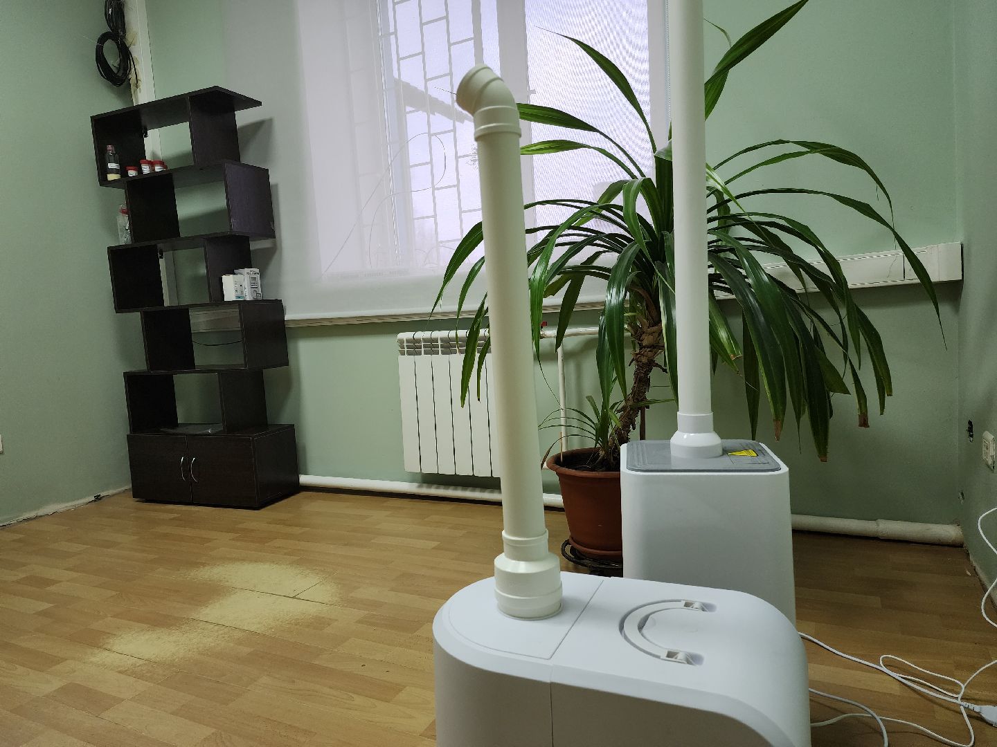 раменское, экономика, косметическая компания николь, фитокабинет, здоровье,