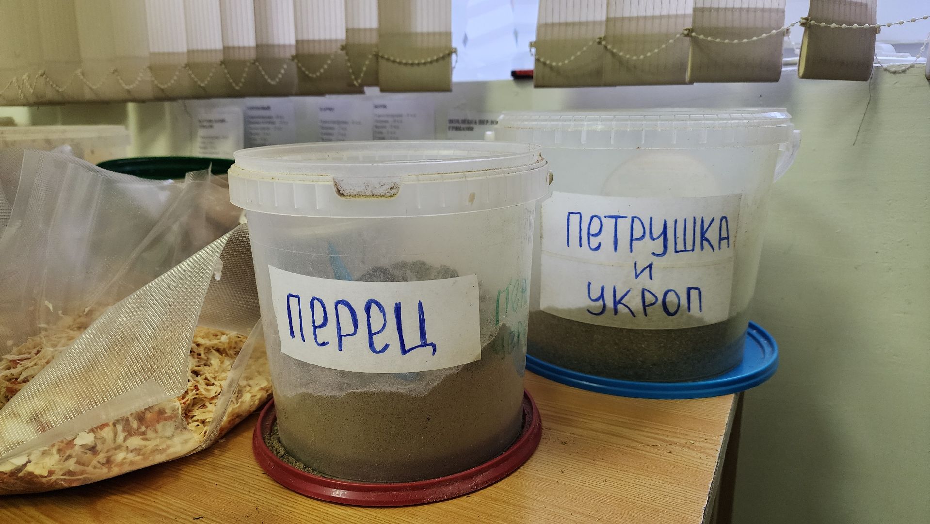 волонтры, помощь военнослужащим, СВО, Лосино-Петровский, спецоперация,