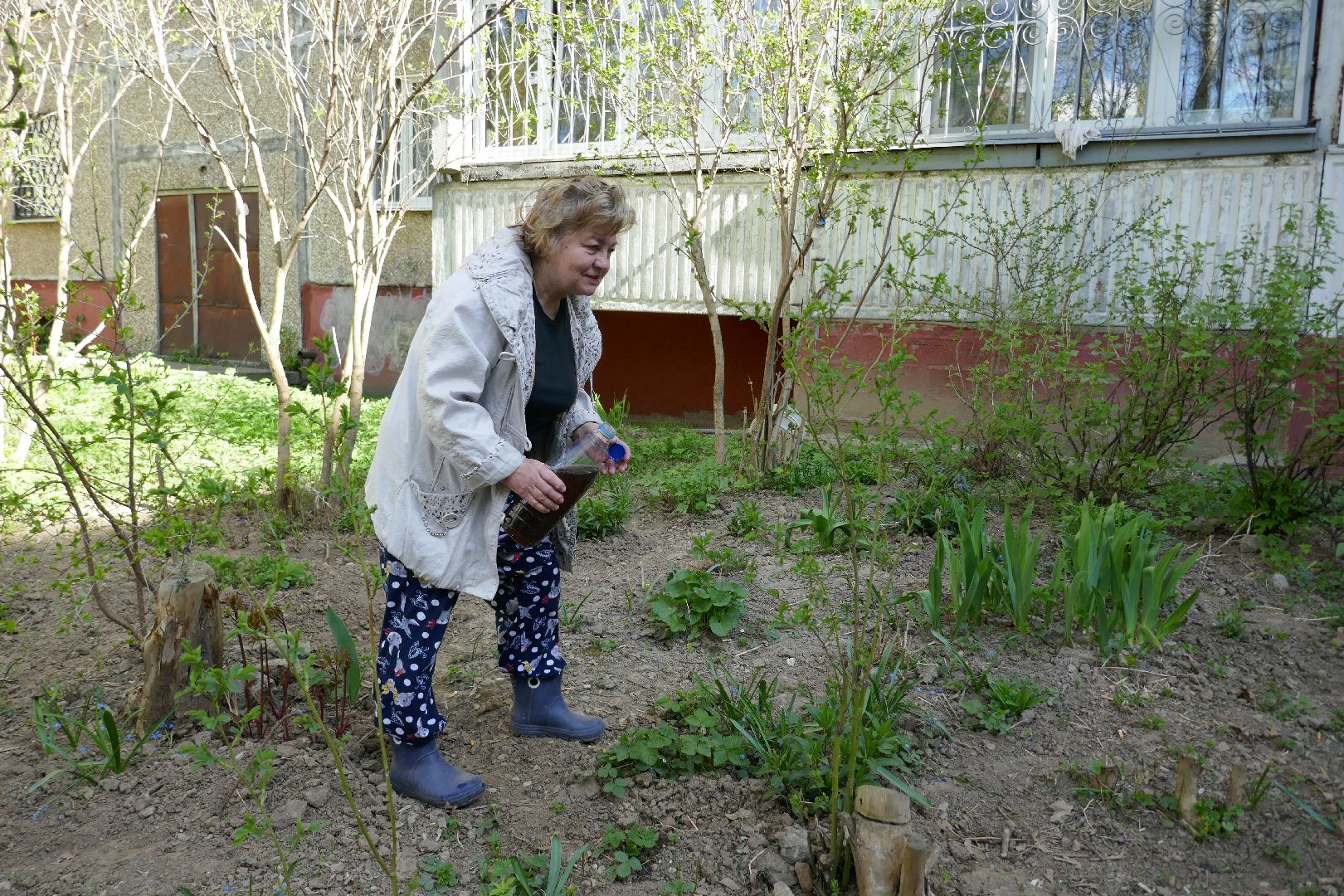 Подольск, благоустройство, субботник, цветы