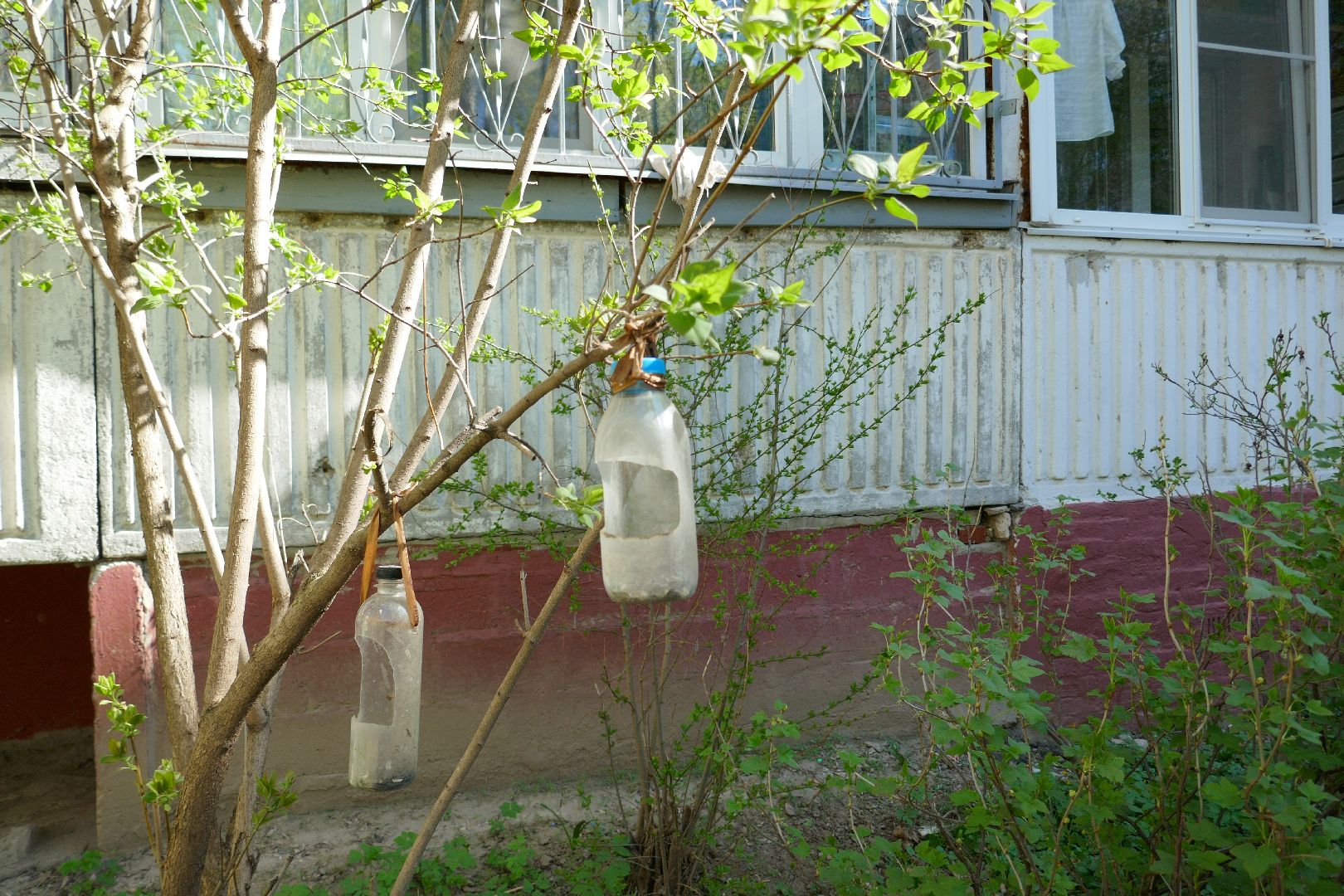 Подольск, благоустройство, субботник, цветы