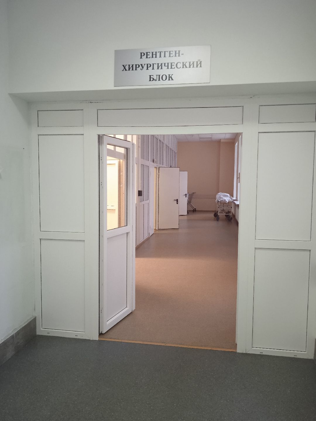 Жуковский, общество