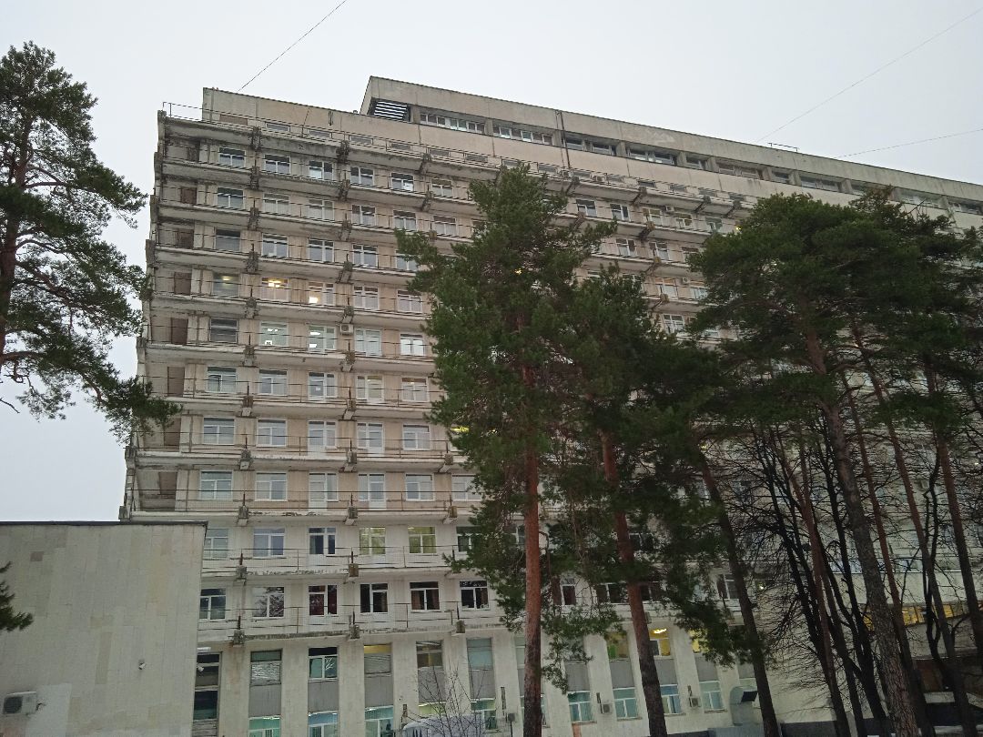 Жуковский, общество