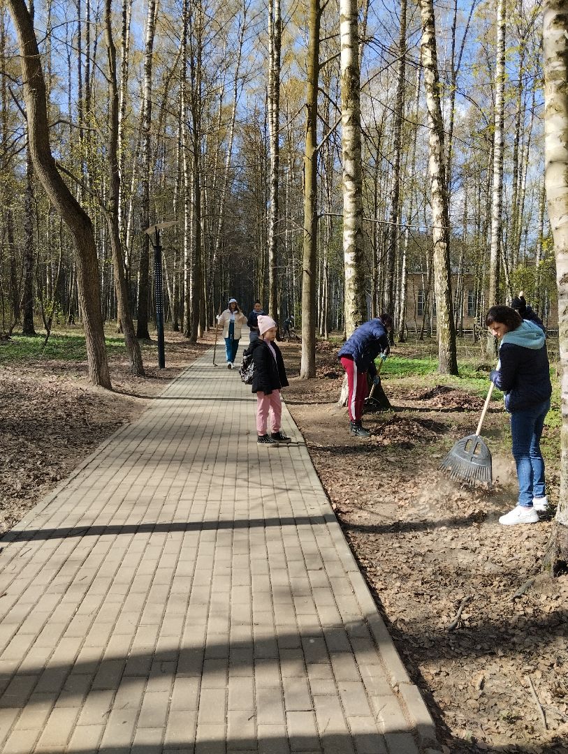 Всероссийский субботник, уборка территорий, благоустройство, администрация БГО, Богородский городской округ, Ногинск