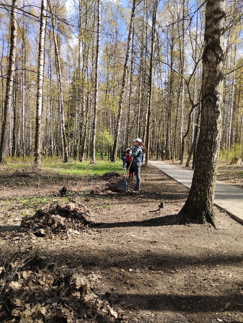 Всероссийский субботник, уборка территорий, благоустройство, администрация БГО, Богородский городской округ, Ногинск