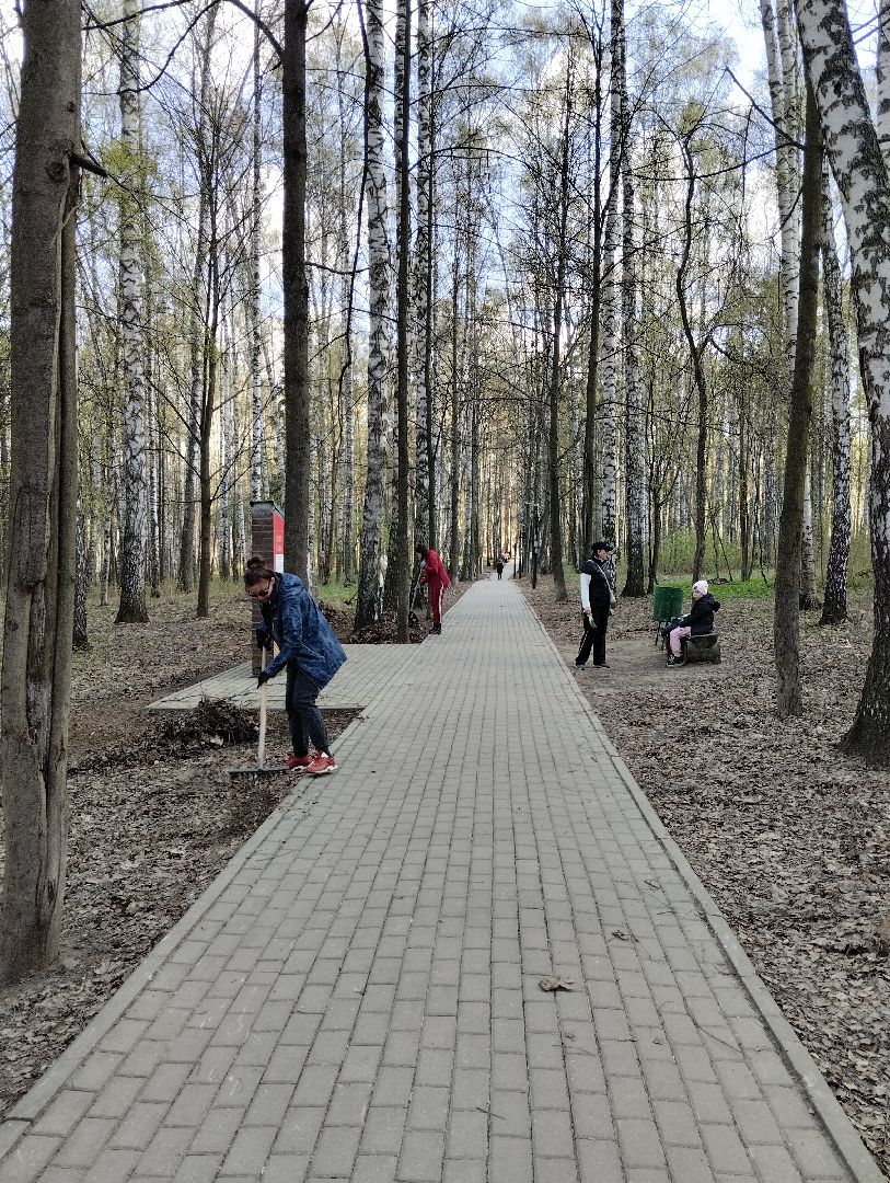 Всероссийский субботник, уборка территорий, благоустройство, администрация БГО, Богородский городской округ, Ногинск