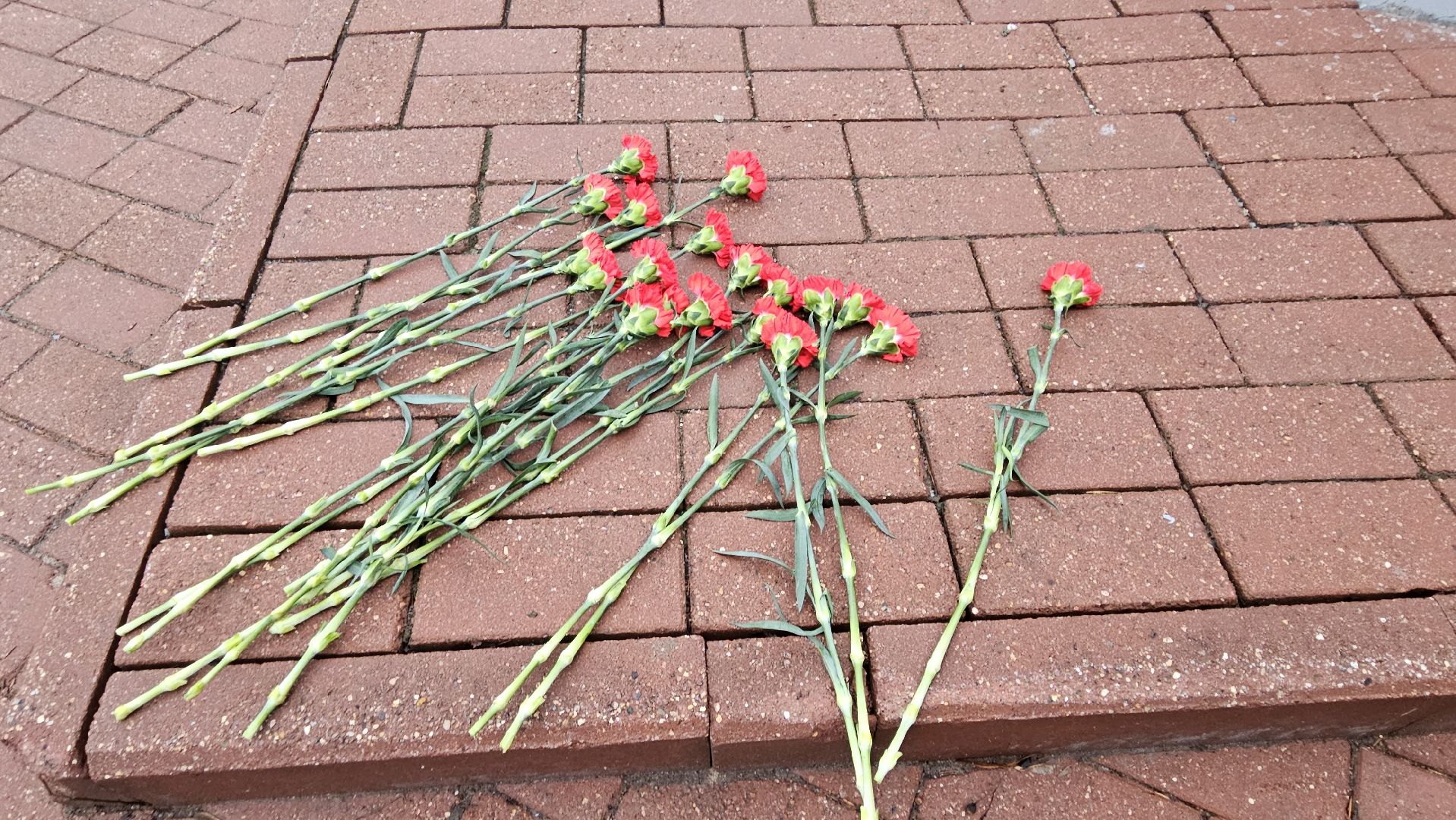 Жуковский, Митинг, волонтеры подмосковья,