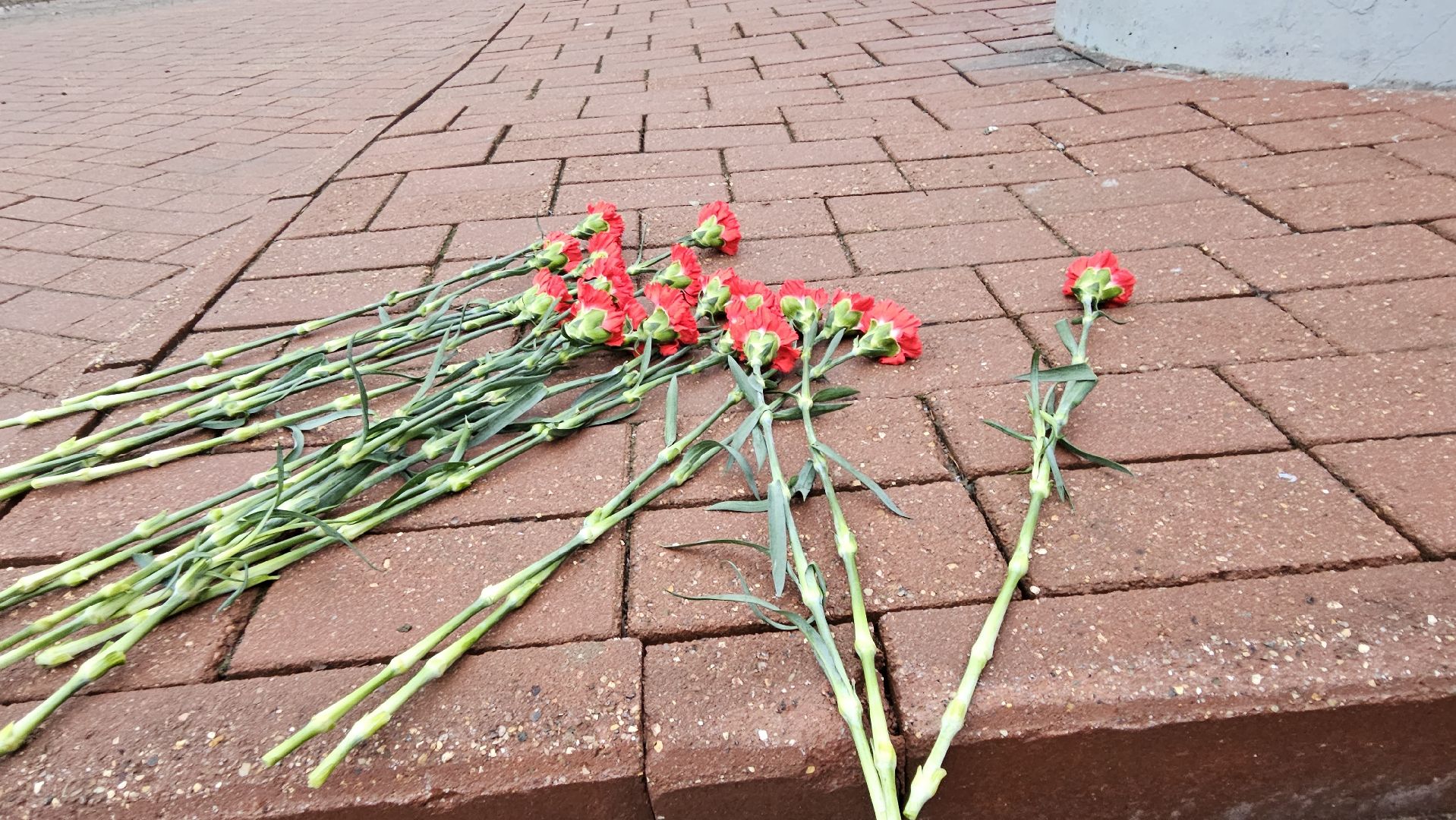 Жуковский, Митинг, волонтеры подмосковья,
