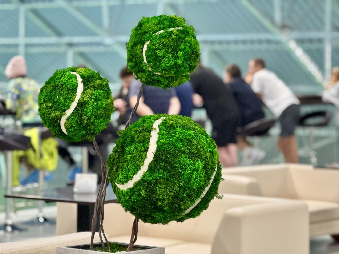 шаховская, спорт, теннис, турнир по теннису, вертикалка,