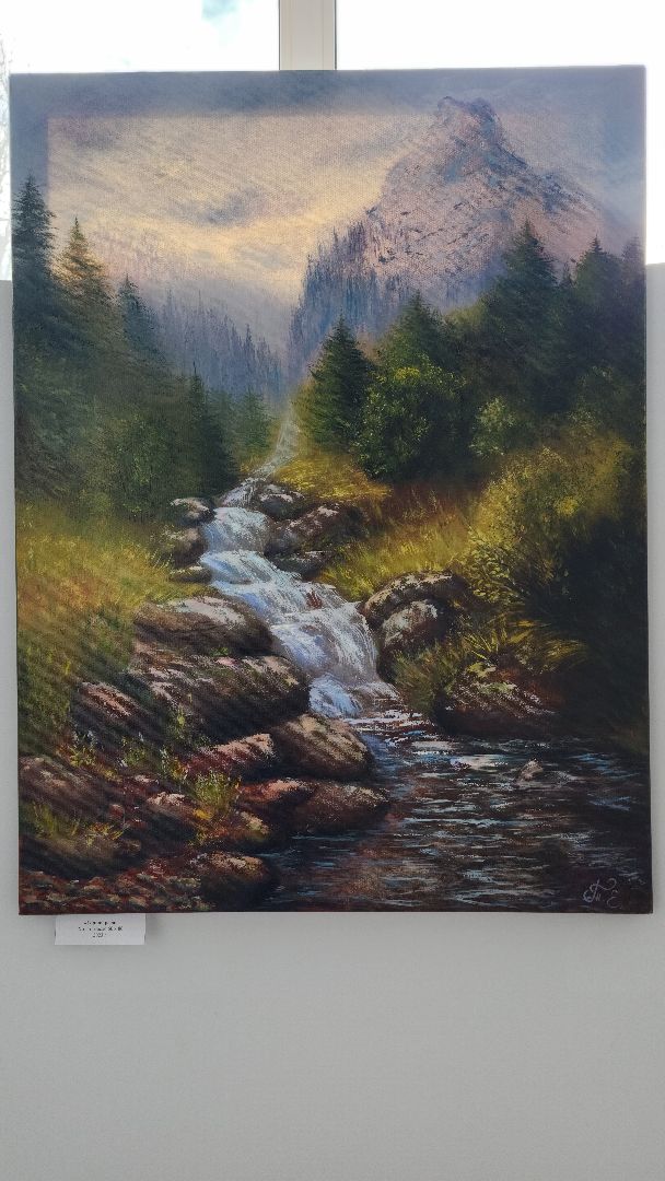 выставка картин, волоколамск, волоколамская библиотека, культура,