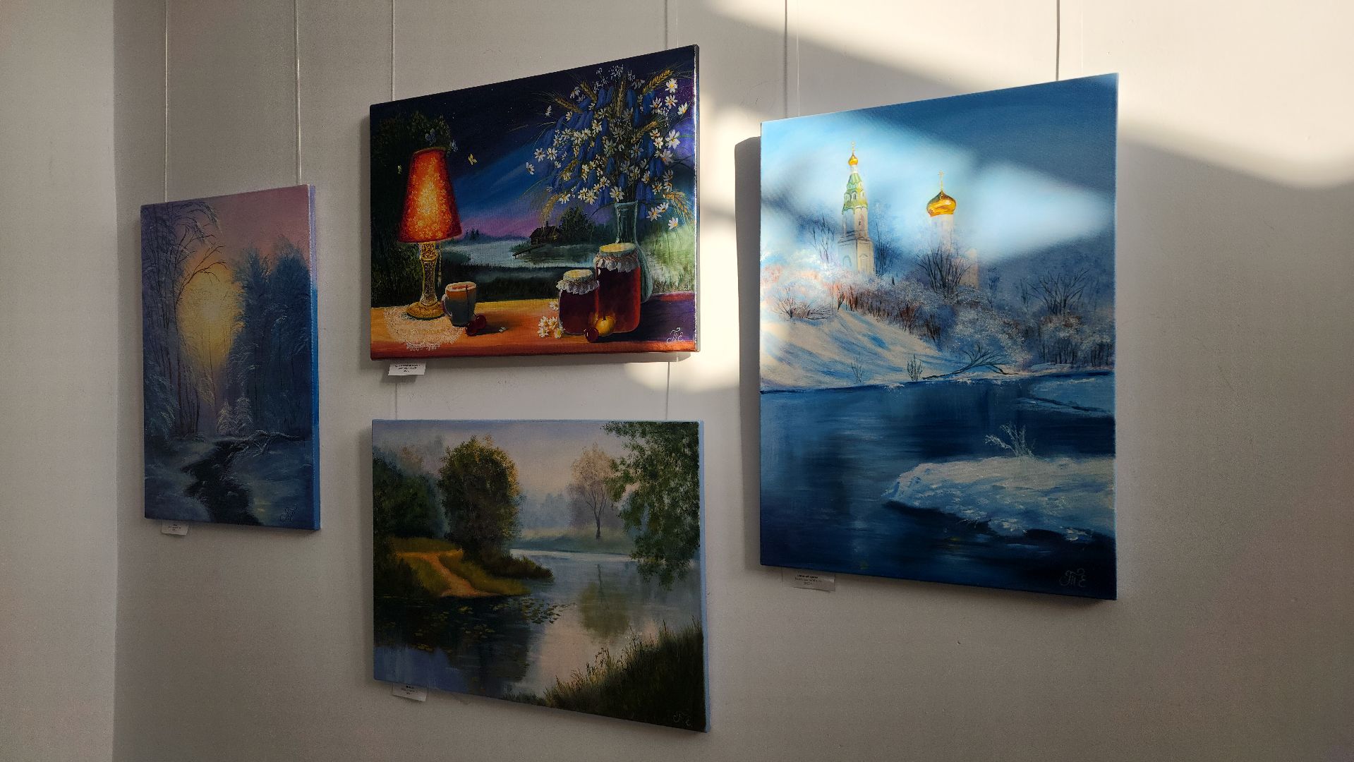 выставка картин, волоколамск, волоколамская библиотека, культура,