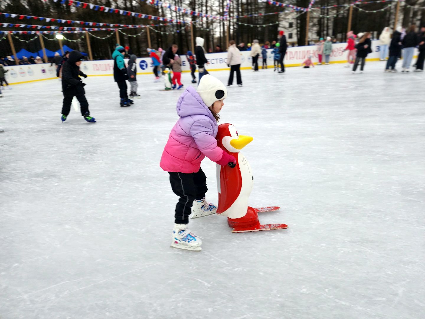 пущино, серпухов, каток,