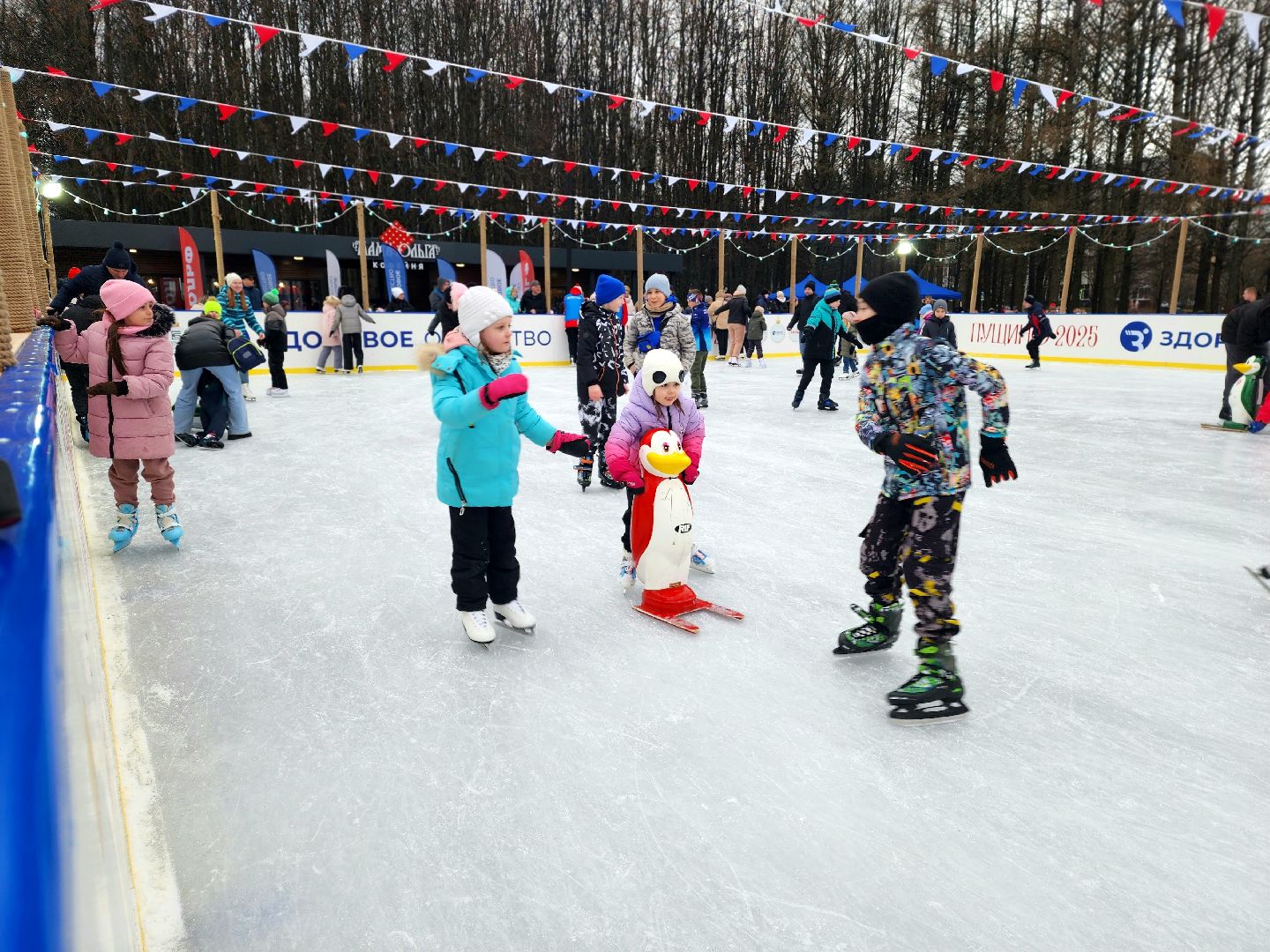 пущино, серпухов, каток,