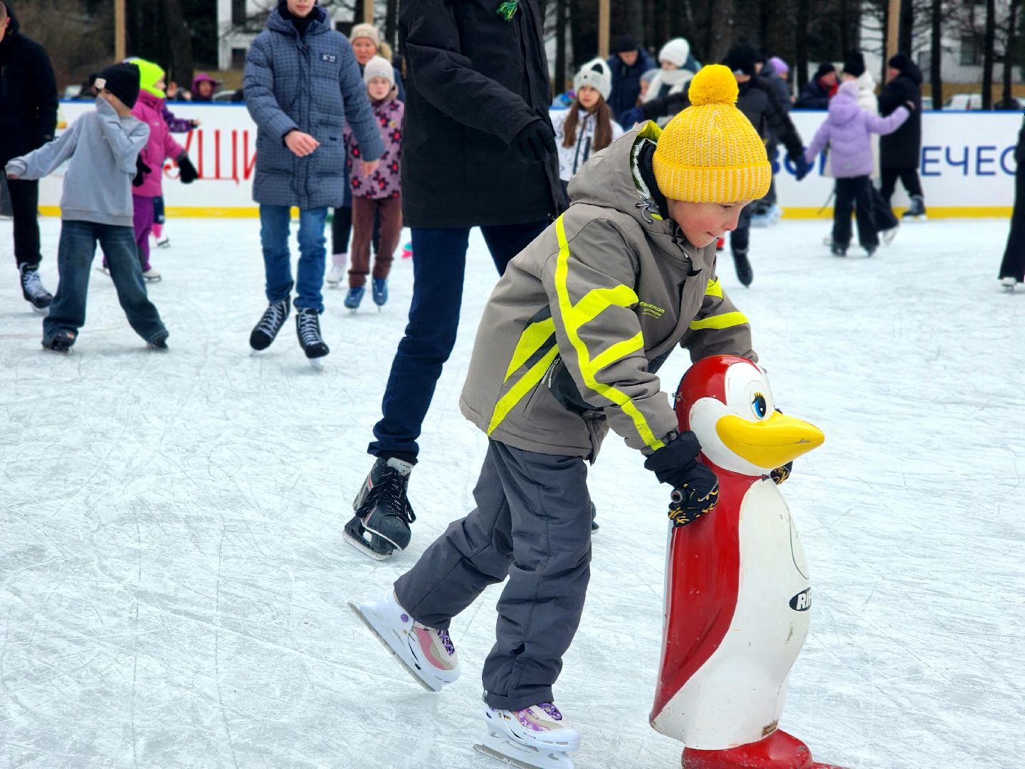 пущино, серпухов, каток,