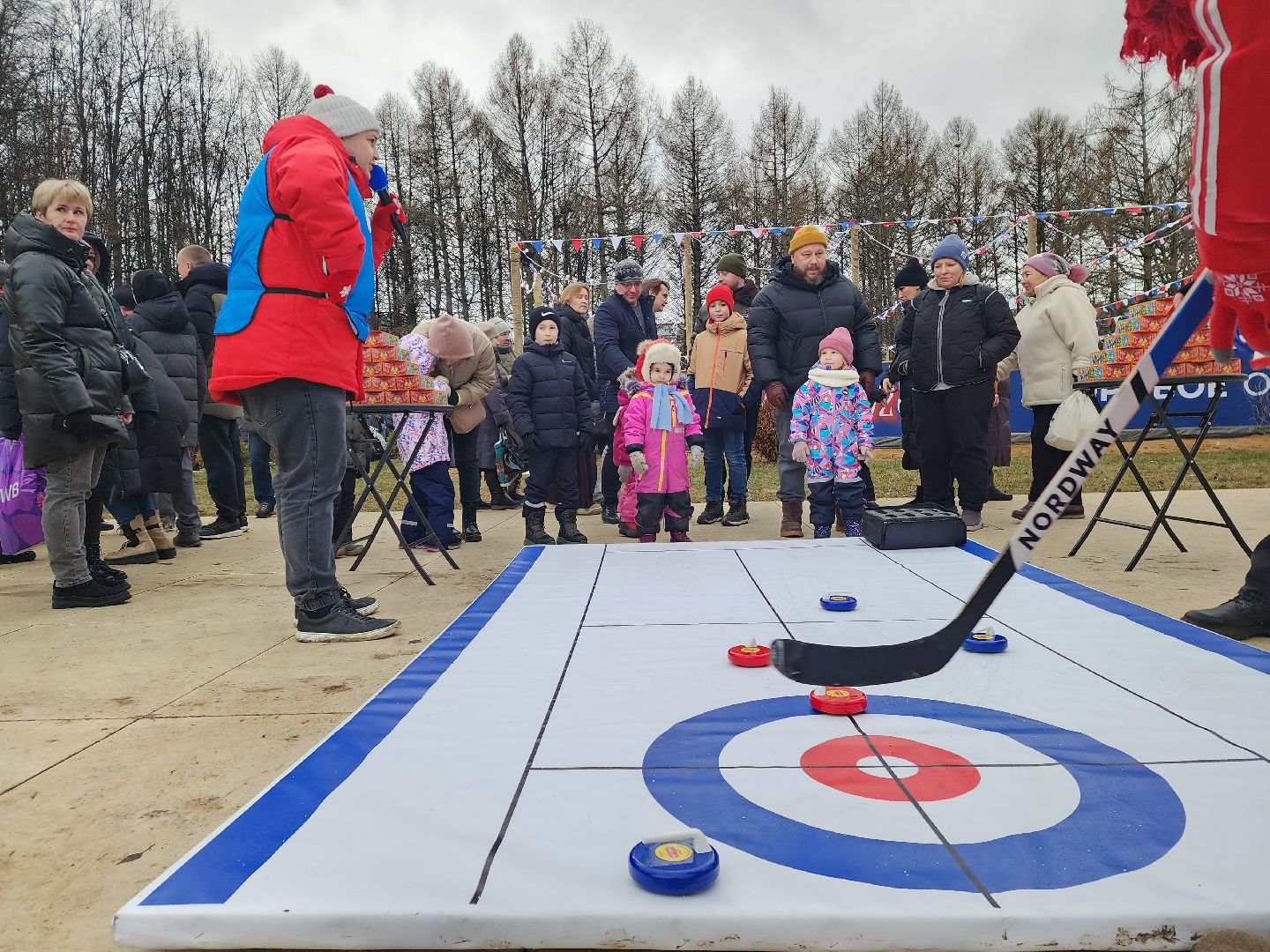 пущино, серпухов, каток,