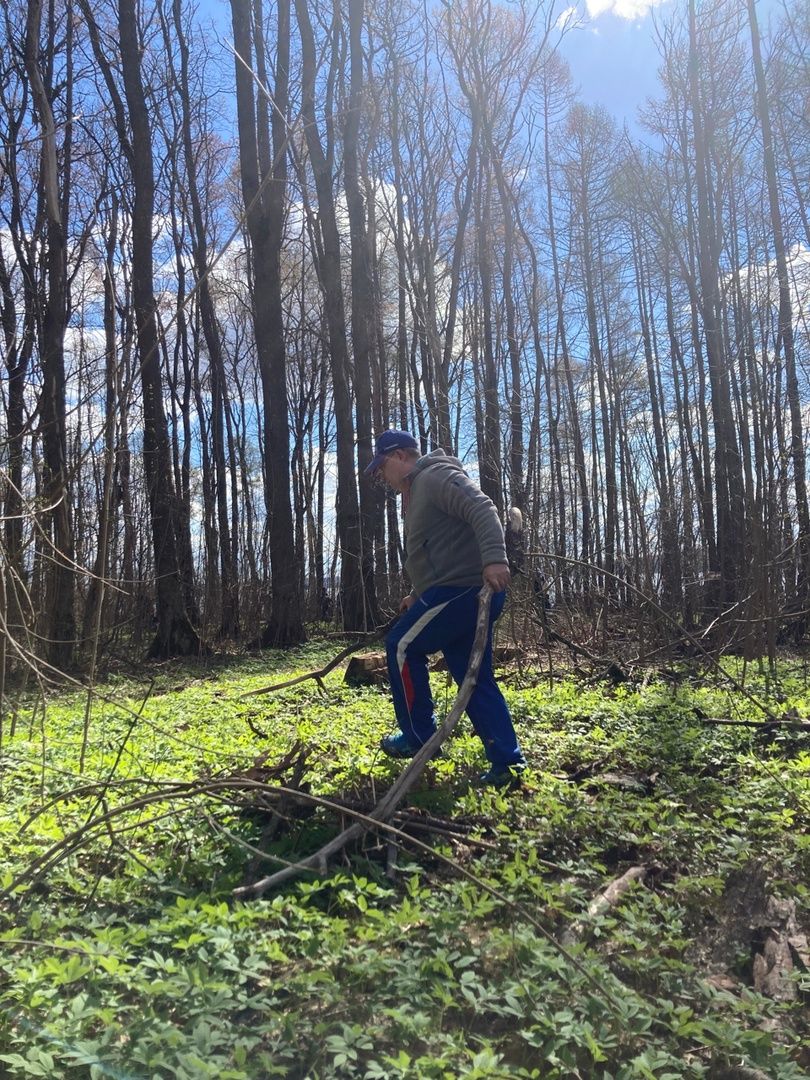 Солнечногорск, благоустройство, субботник, водители, пляж