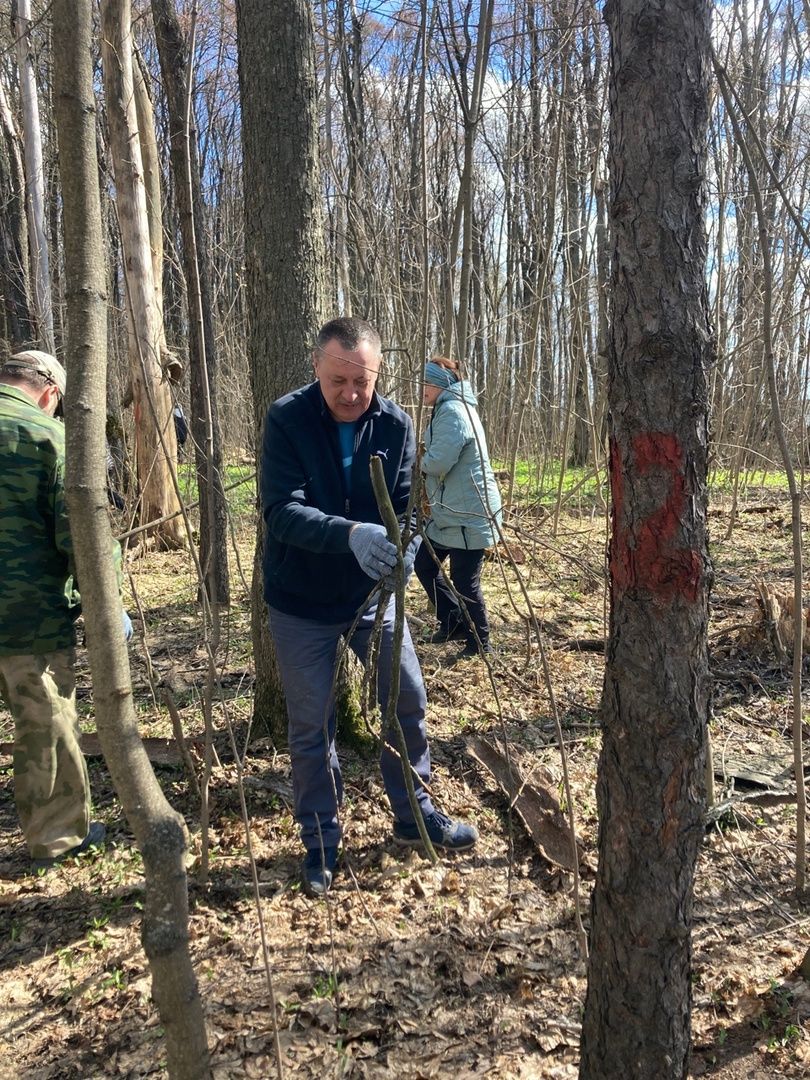 Солнечногорск, благоустройство, субботник, водители, пляж