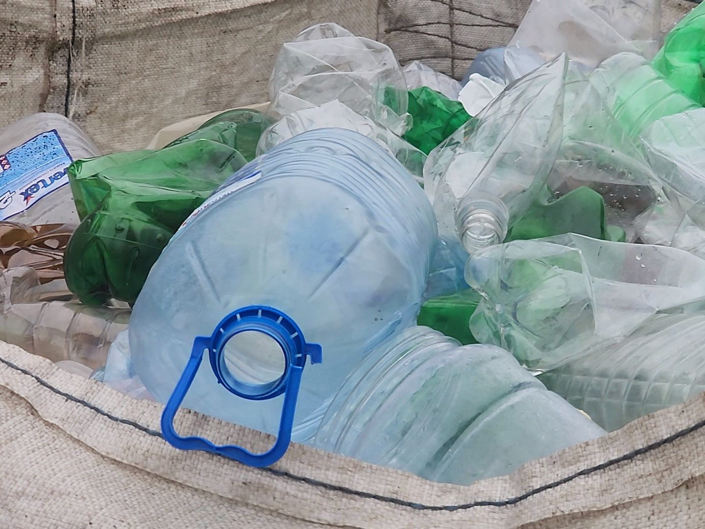 Коломна, экологическая акция, раздельный сбор отходов, сбор вторсырья,