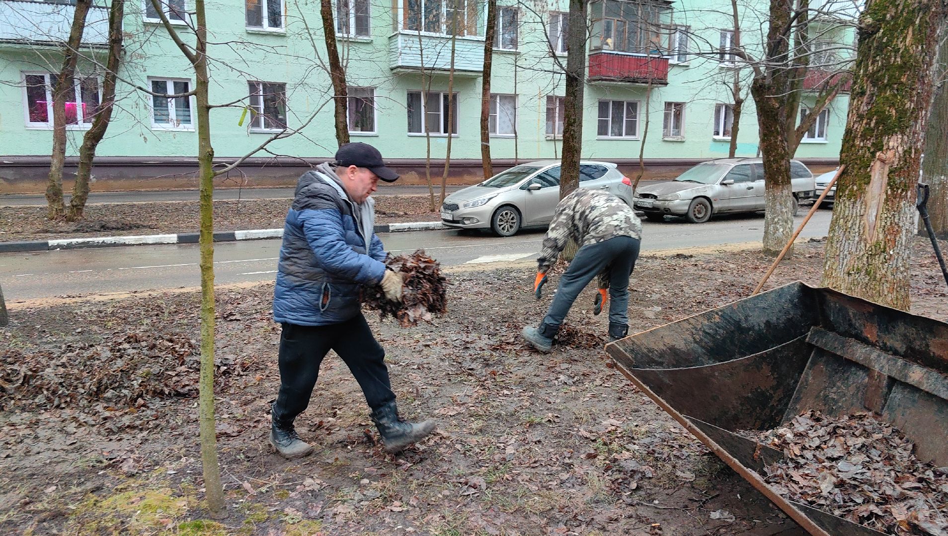 территория, уборка, дороги, листва, трактор, вертикалки,