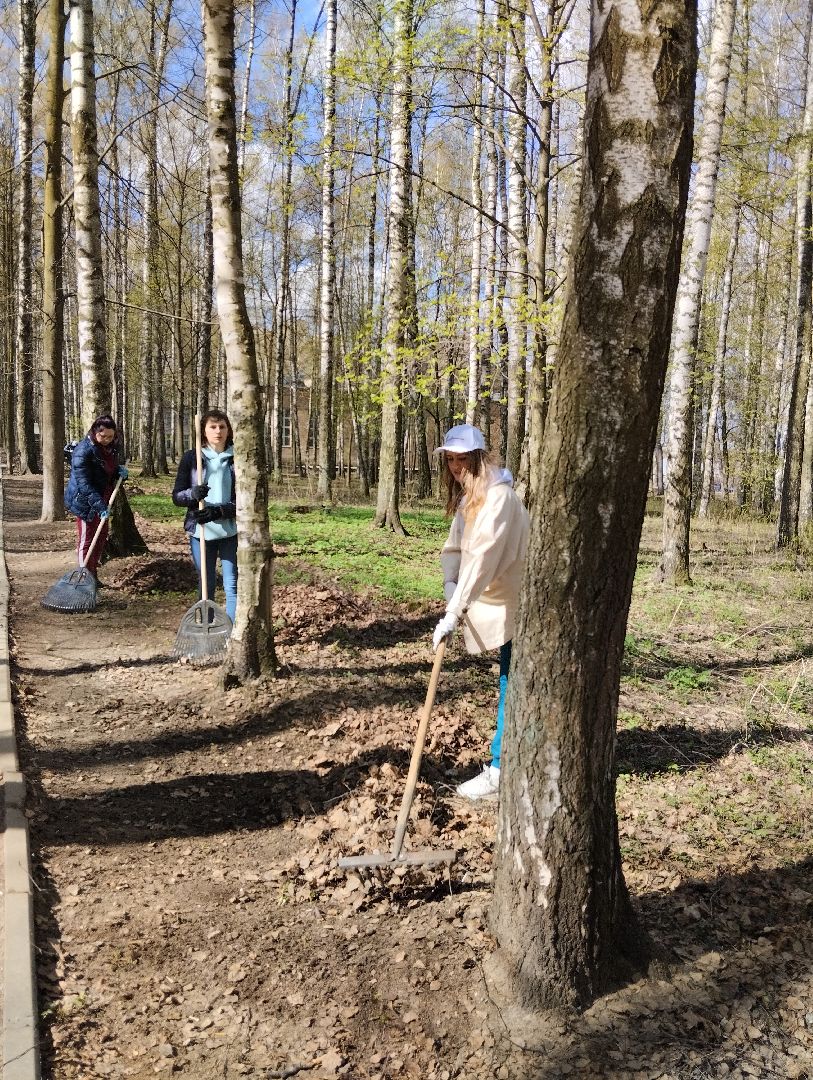 Благоустройство, всероссийский субботник, Богородский городской округ, Ногинск, уборка территорий, аллея Славы