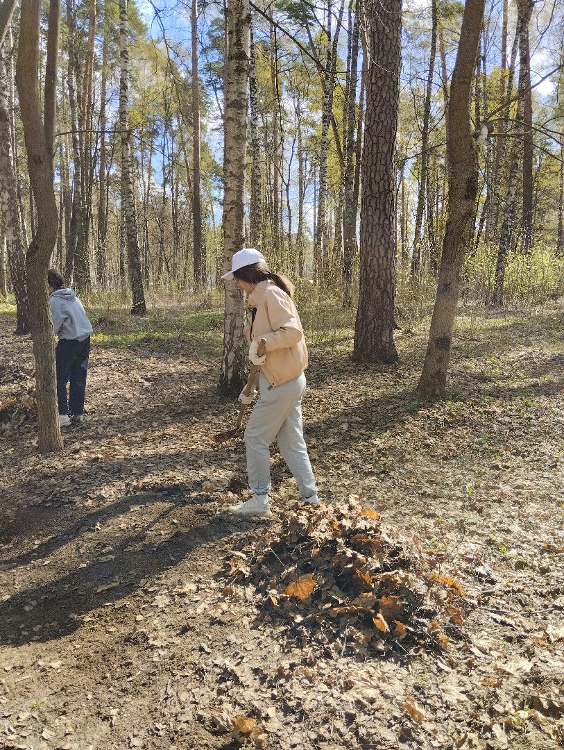 Благоустройство, всероссийский субботник, Богородский городской округ, Ногинск, уборка территорий, аллея Славы