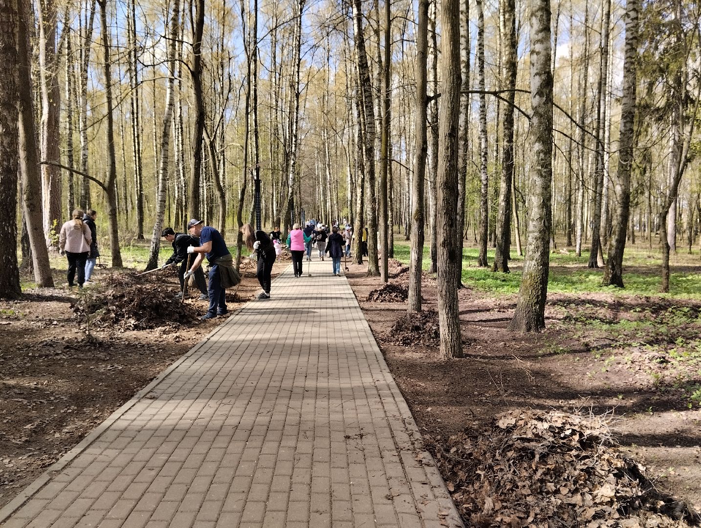 Благоустройство, всероссийский субботник, Богородский городской округ, Ногинск, уборка территорий, аллея Славы