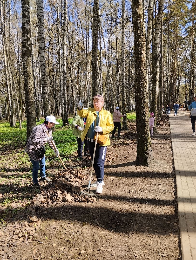 Благоустройство, всероссийский субботник, Богородский городской округ, Ногинск, уборка территорий, аллея Славы