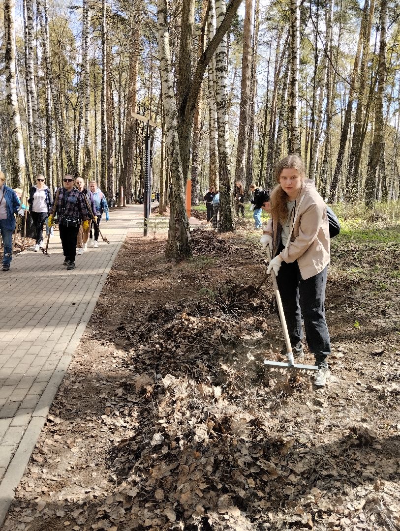 Благоустройство, всероссийский субботник, Богородский городской округ, Ногинск, уборка территорий, аллея Славы