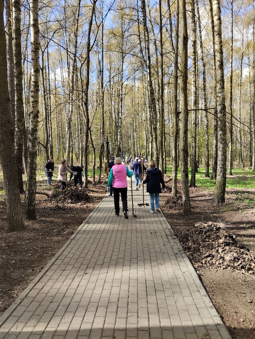 Благоустройство, всероссийский субботник, Богородский городской округ, Ногинск, уборка территорий, аллея Славы