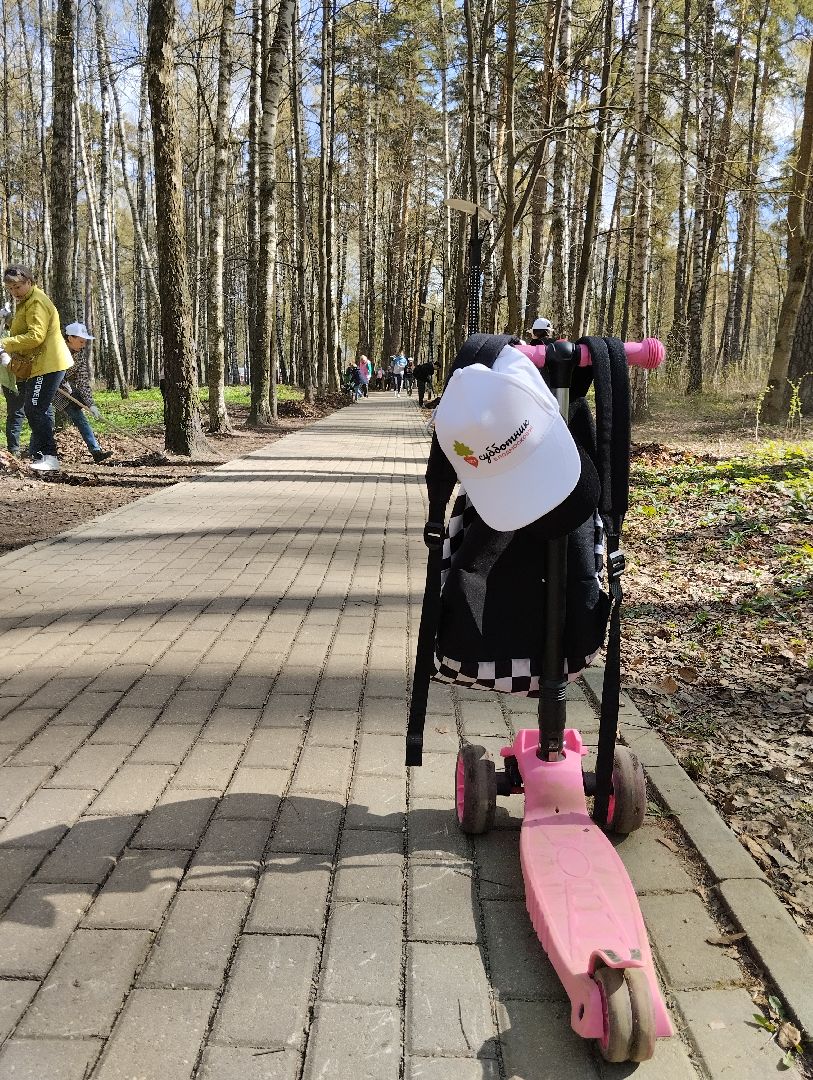 Благоустройство, всероссийский субботник, Богородский городской округ, Ногинск, уборка территорий, аллея Славы