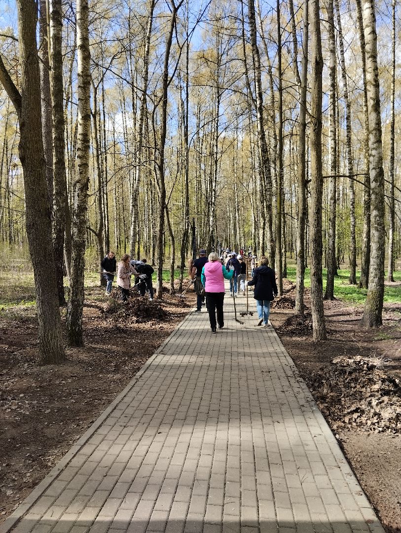 Благоустройство, всероссийский субботник, Богородский городской округ, Ногинск, уборка территорий, аллея Славы