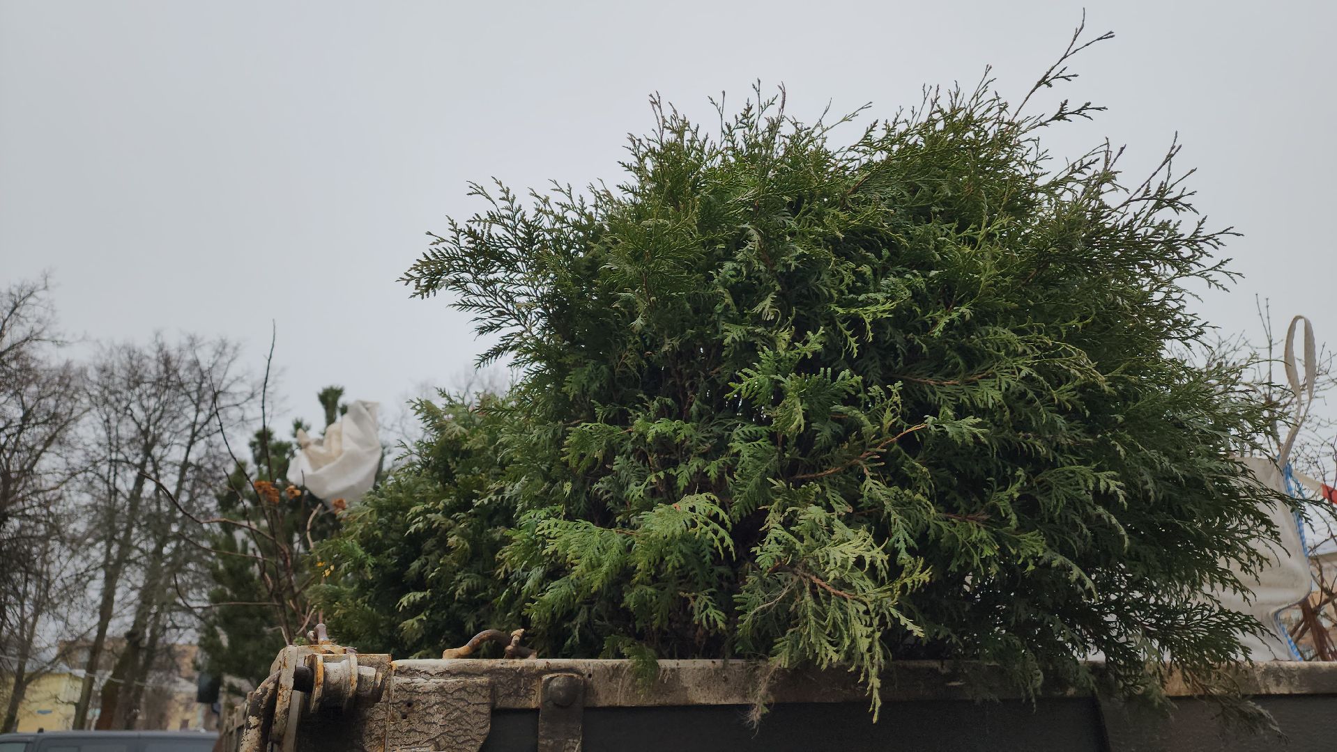 ступино, волонтеры, благотворительность, школы, благоустройство,