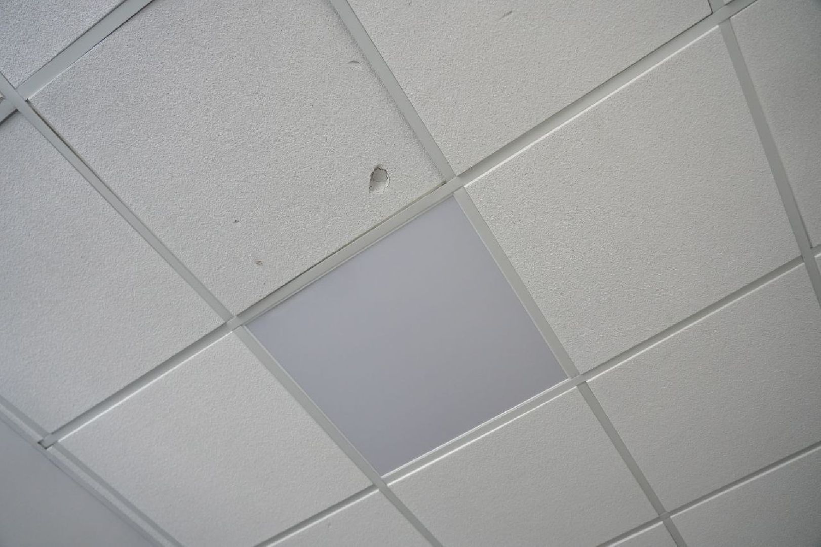 дети, школа, образование, ремонт, сергиев посад, сергиево-посадский городской округ,