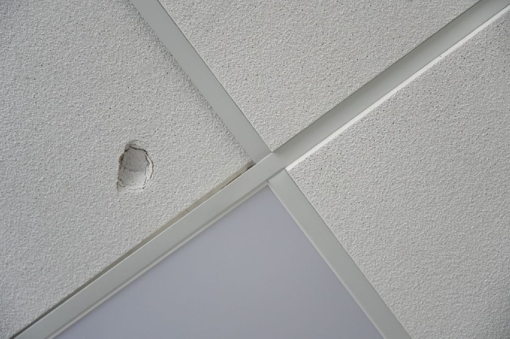 дети, школа, образование, ремонт, сергиев посад, сергиево-посадский городской округ,