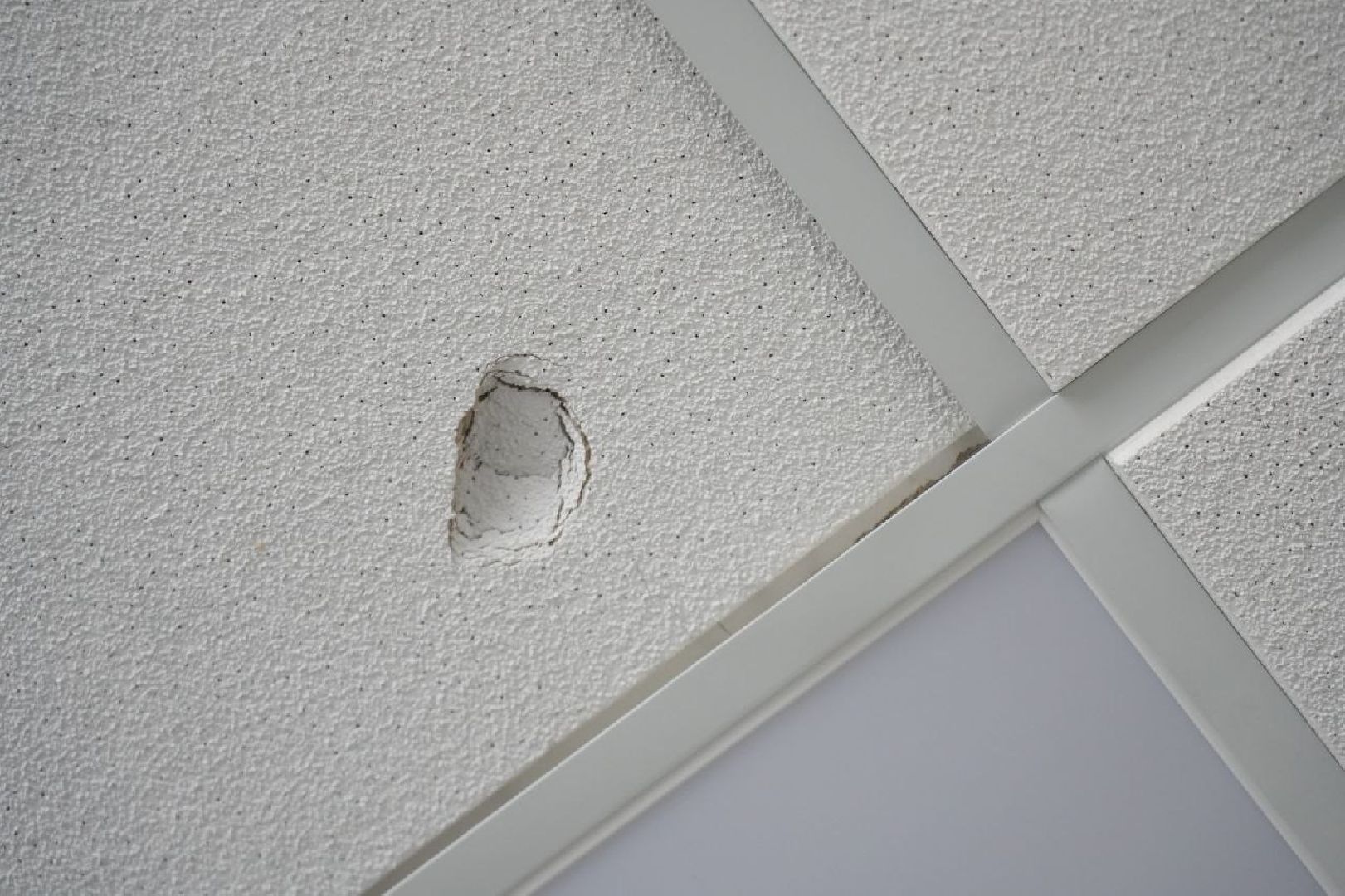 дети, школа, образование, ремонт, сергиев посад, сергиево-посадский городской округ,