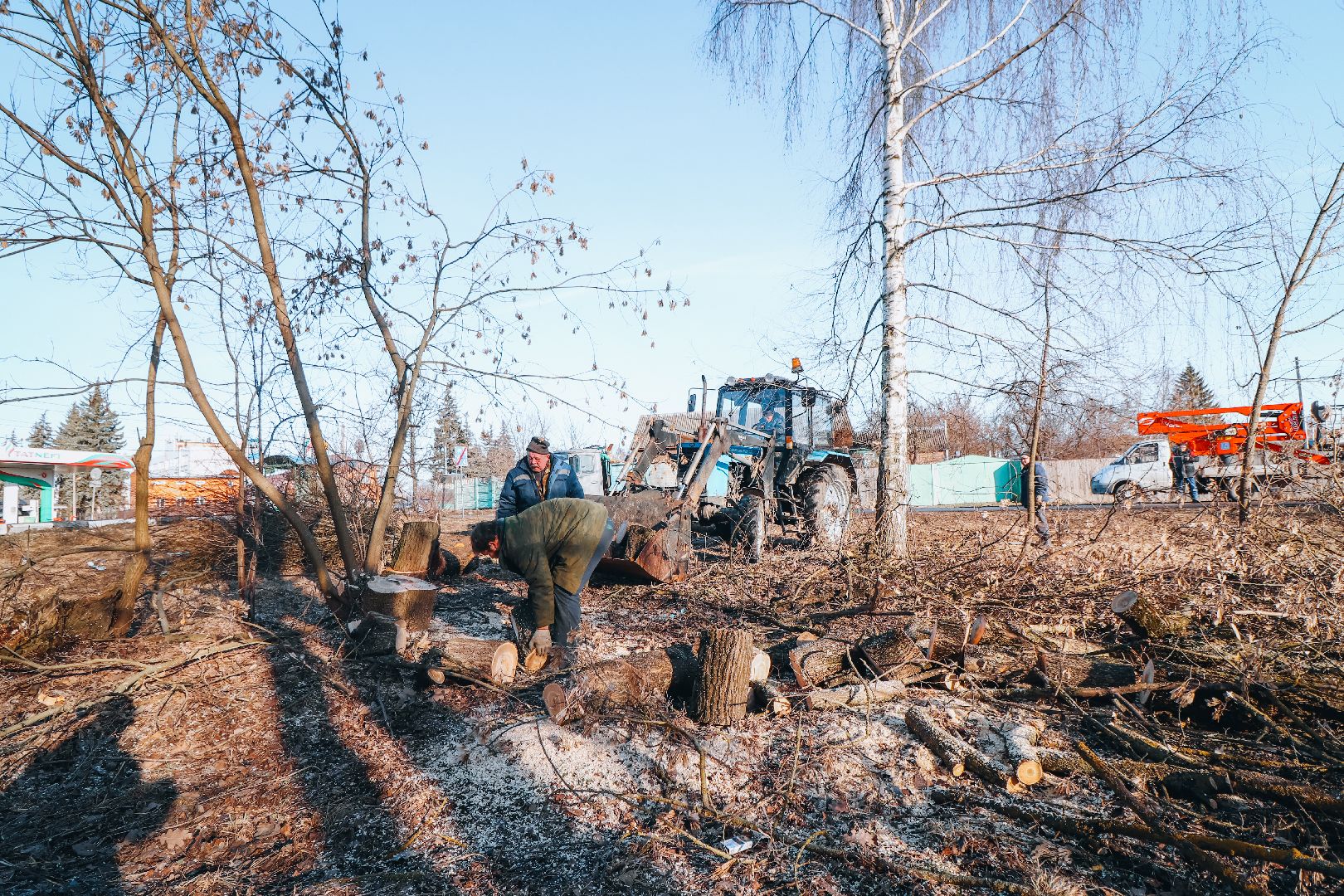 Клин, общество, ЖКХ, аварийные деревья, вертикалки,