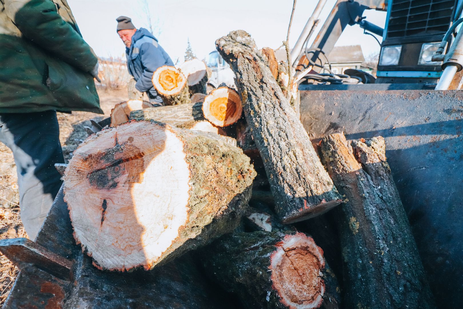 Клин, общество, ЖКХ, аварийные деревья, вертикалки,