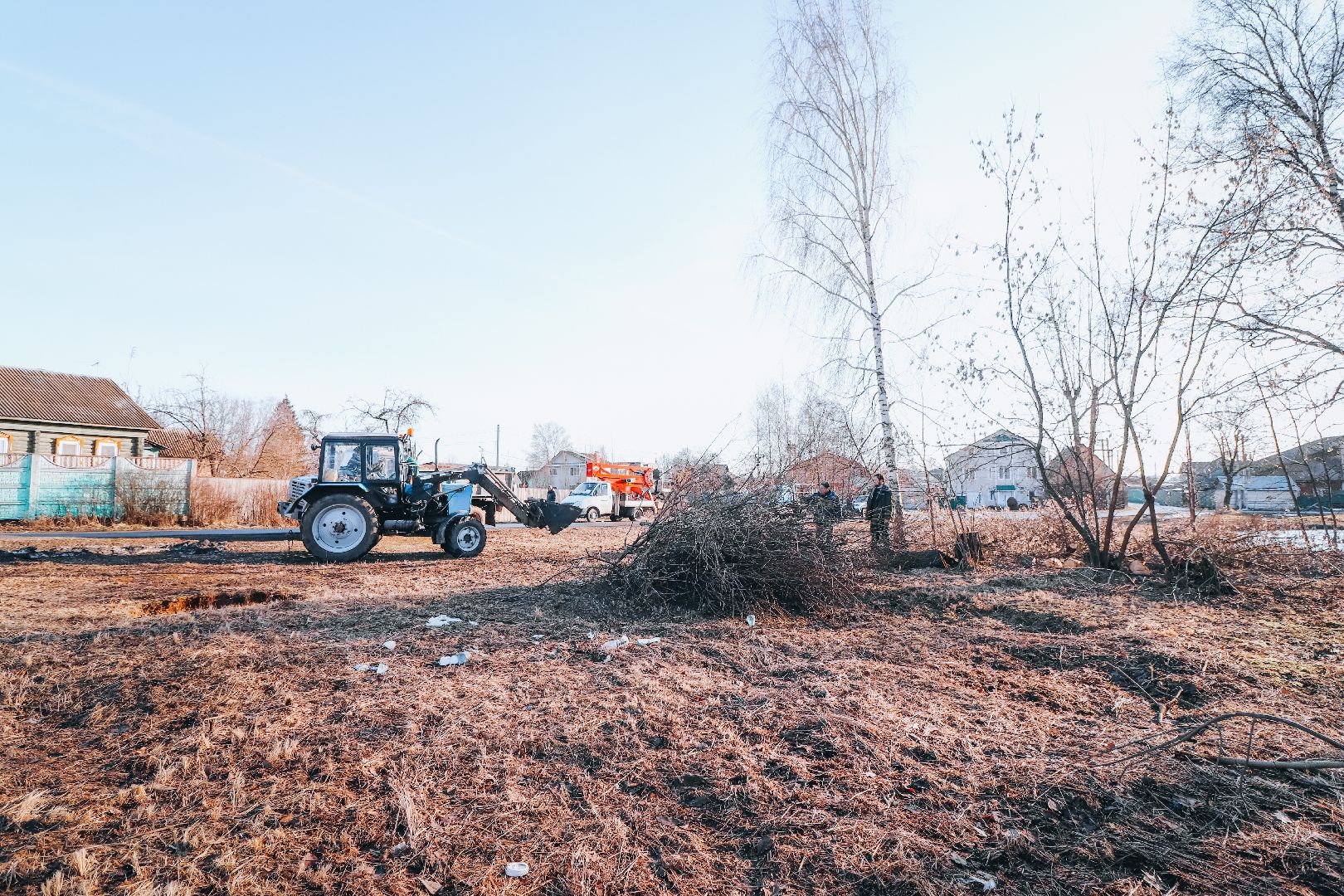 Клин, общество, ЖКХ, аварийные деревья, вертикалки,