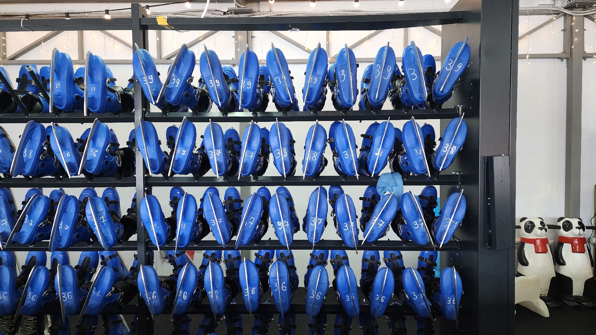 солнечногорск, вертикалки, зима в подмосковье, каток,