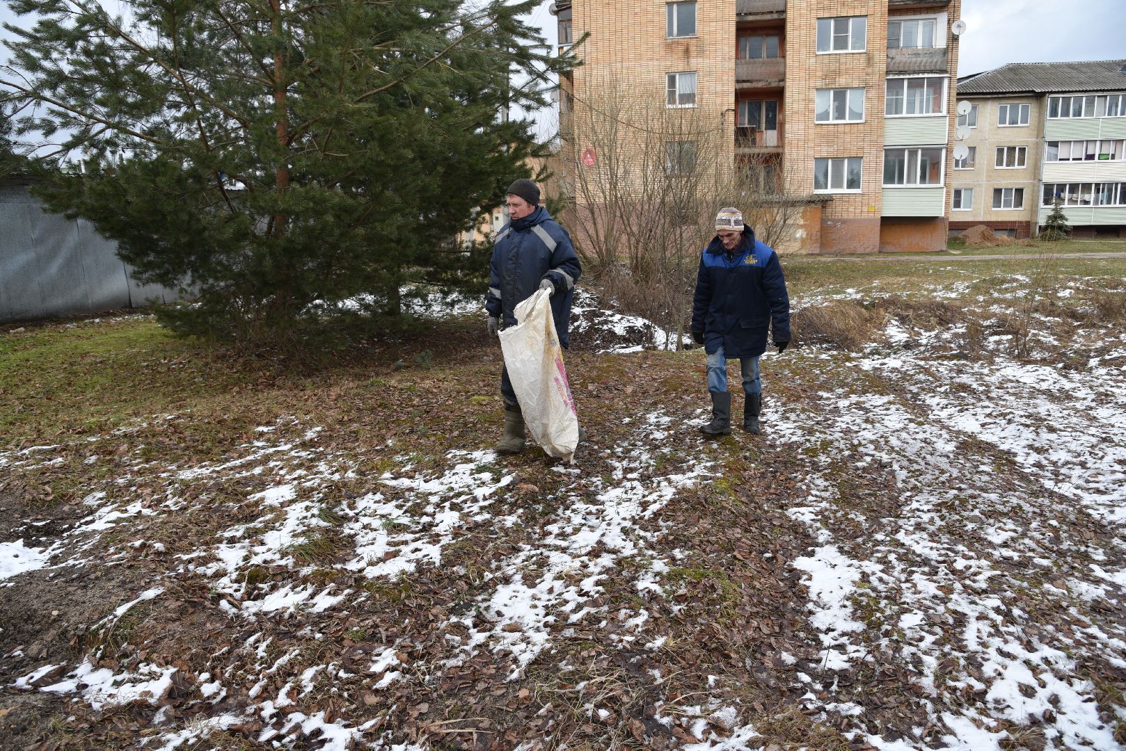 лотошино, микулино, выездная администрация, благоустройство, уборка мусора, вертикалка,