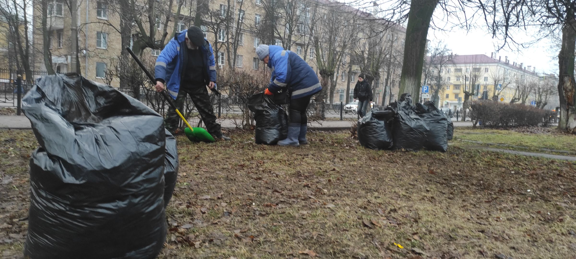 Электросталь, Электросталь благоустройство, Уборка газонов, вертикалки