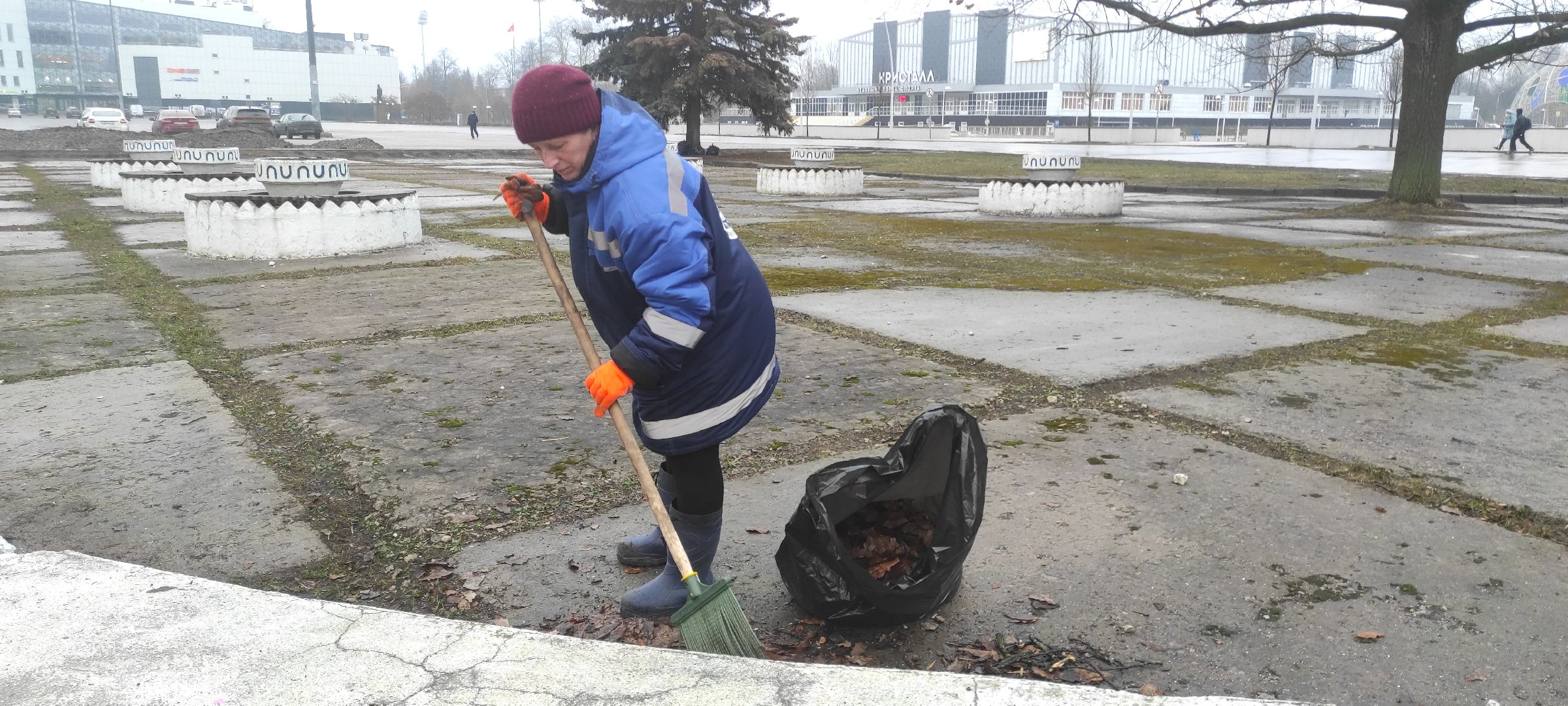 Электросталь, Электросталь благоустройство, Уборка газонов, вертикалки