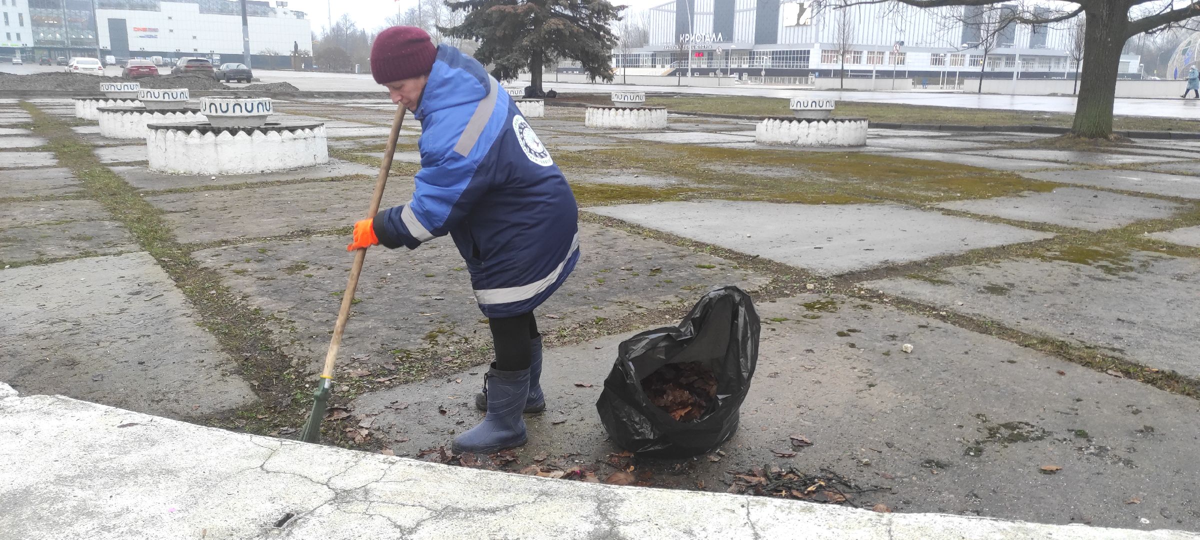 Электросталь, Электросталь благоустройство, Уборка газонов, вертикалки