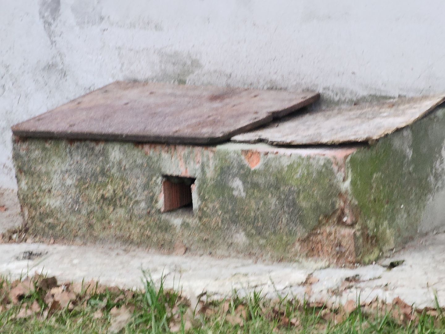 вертикалки, павловский посад, благоустройство, дом,