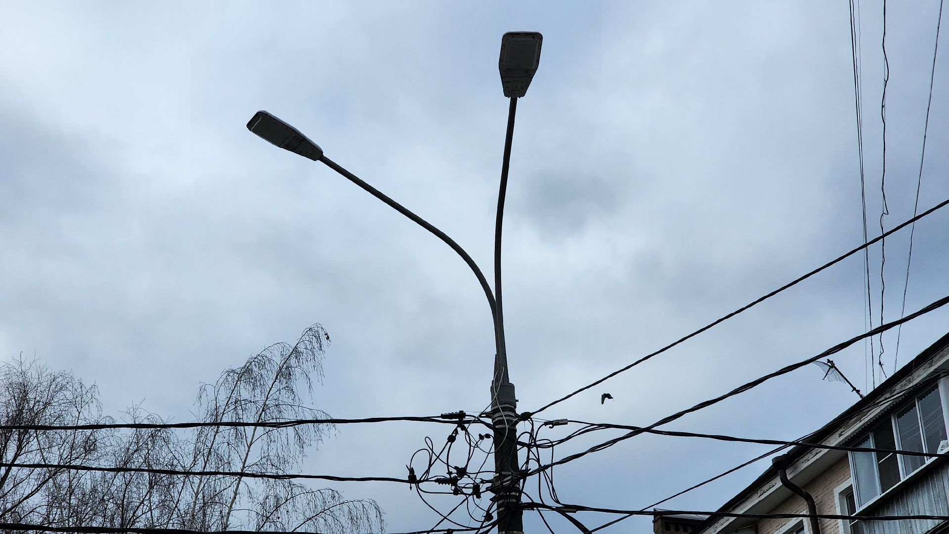 благоустройство, Светлый город, дороги, Лосино-Петровский,