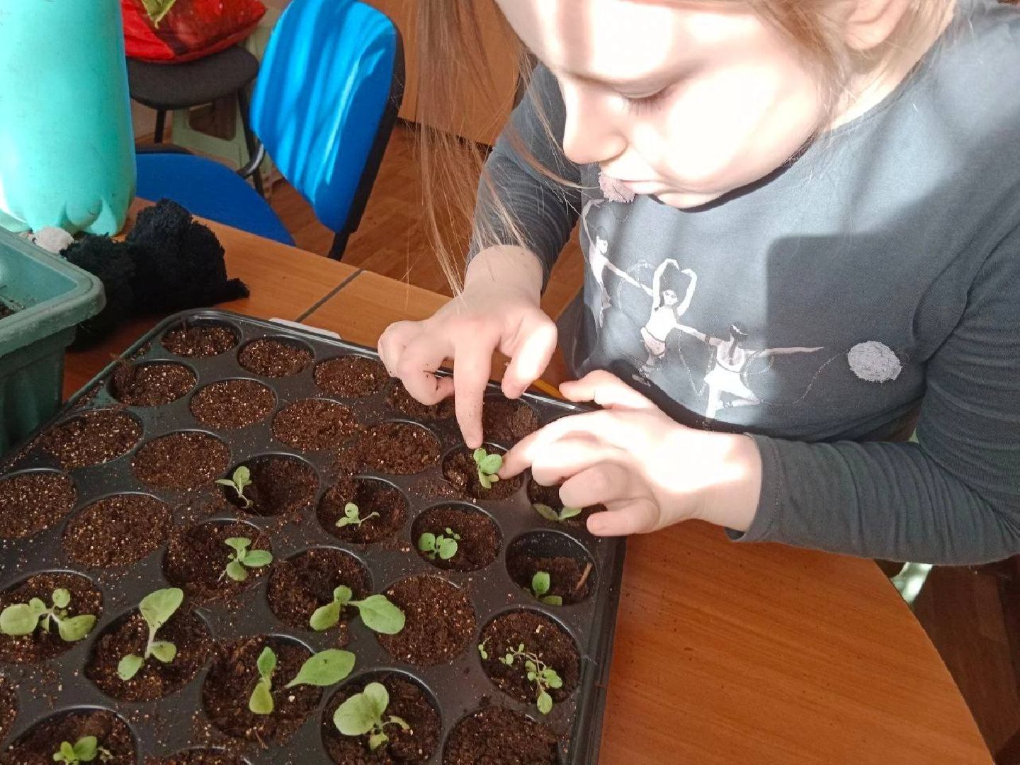 Город-сад, волонтёры, рассада, Бах, Шопен